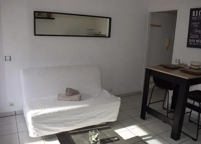 Des Iles D'or Avec Piscine - Port D'hyeres * הייר